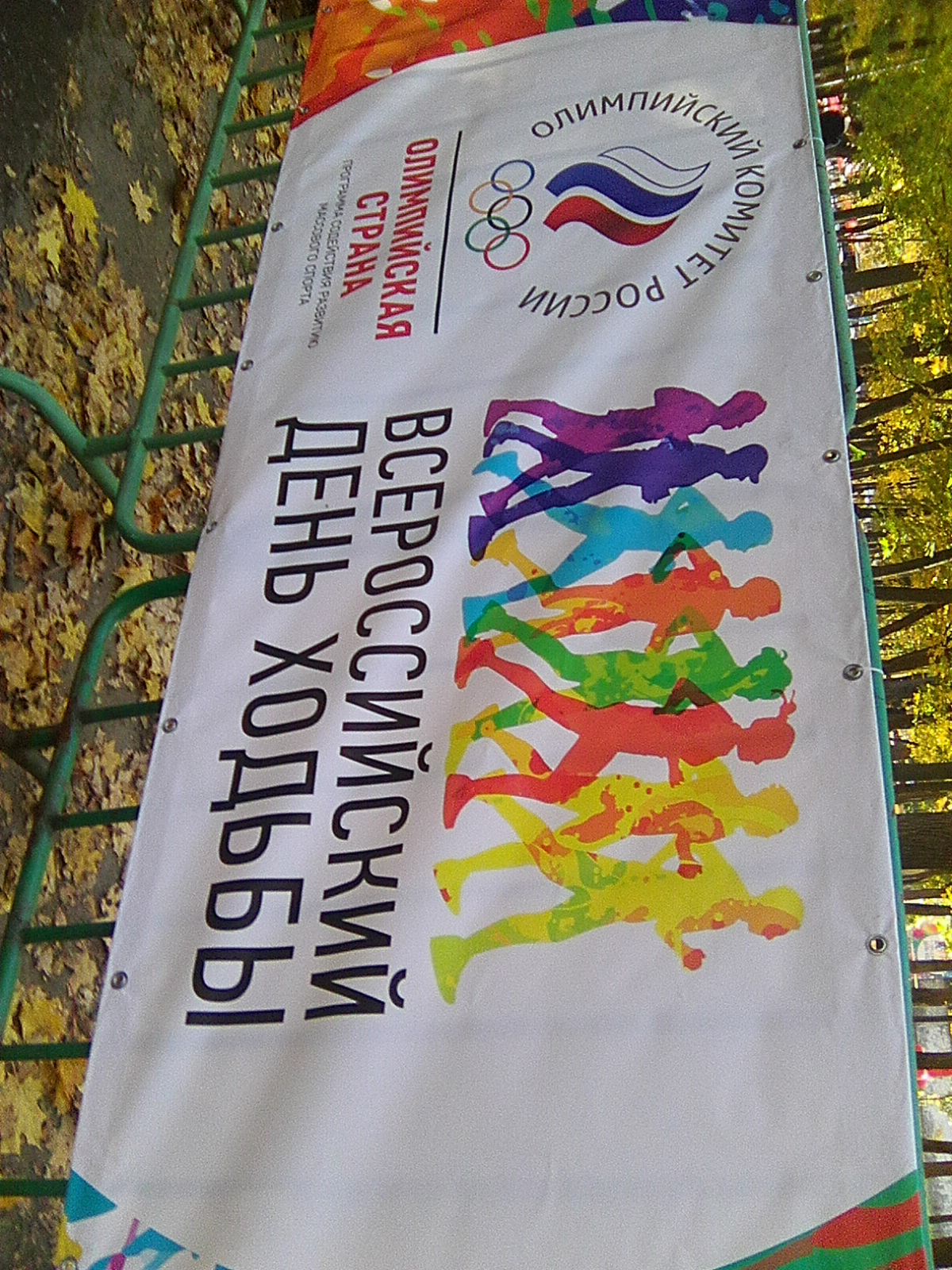 Всероссийский день ходьбы